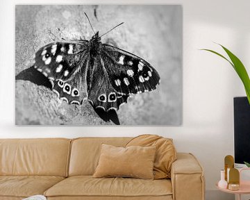 Zwart-Wit Vlinder van Anouk Snijders