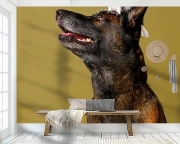 Dog Portrait by Petri Vermunt