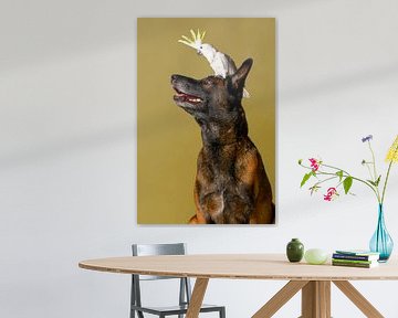 Mechelse Herder Portret Honden Serie van Petri Vermunt