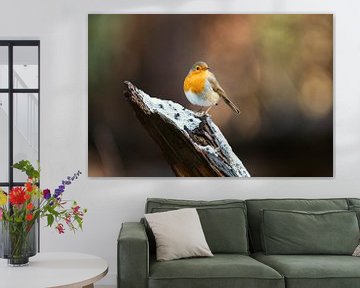 Robin with imposing pose on tree trunk by Maarten Oerlemans