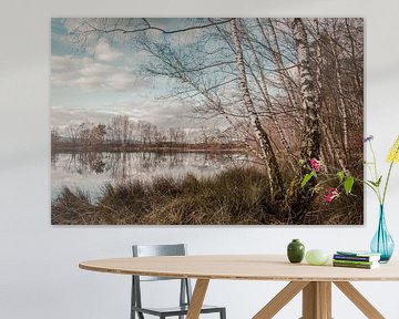 Birches by the lake by Jürgen Schmittdiel Photography
