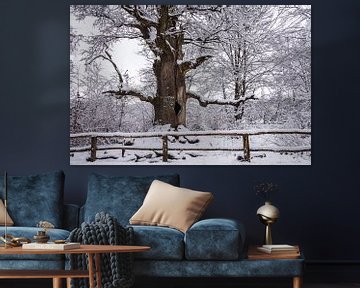 Winter bij de oude schoorsteeneik van Jürgen Schmittdiel Photography