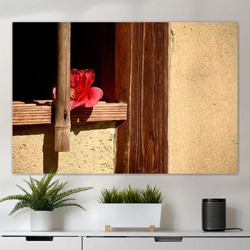 Das Teehaus im japanischen Garten