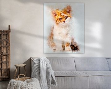 British Shorthair sur Pictura Designs