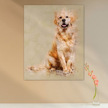 Golden Retriever