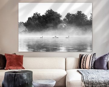 Swans in the fog in the Biesbosch in black and white by Evelien Oerlemans