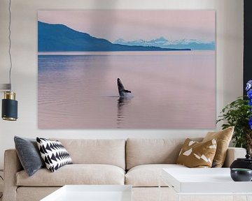 Bultrug walvis in de middernachtzon van Denis Feiner