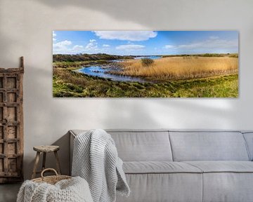 Panorama of nature reserve Kroon's Polders on Vlieland