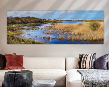Panorama of nature reserve Kroon's Polders on Vlieland
