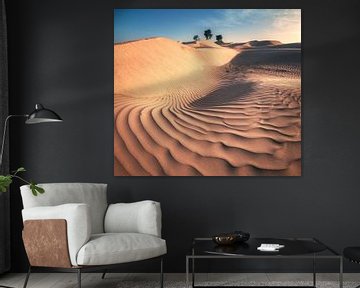 Le désert de Wahiba Sands à Oman sur Jean Claude Castor