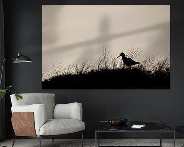 Oystercatcher on dune on Vlieland by De_Taal_Fotograaf