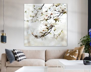 Magnolia in een mooie witte setting van Francis Dost