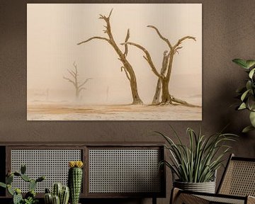 Dead Valley desert, sandstorm by Caroline Drijber