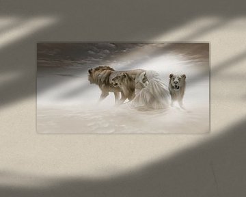 Löwengruppe mit Frauen in der Wüste von Ramon Enzo Wink