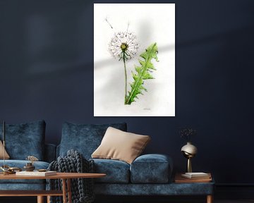 Dandelion with dandelion by Sandra Steinke