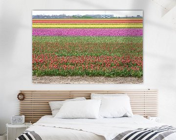 Tulpen van Erik Reijnders