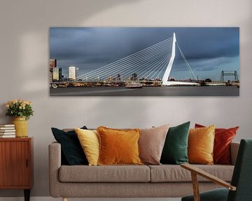 Belle et impressionnante ligne d'horizon de Rotterdam
