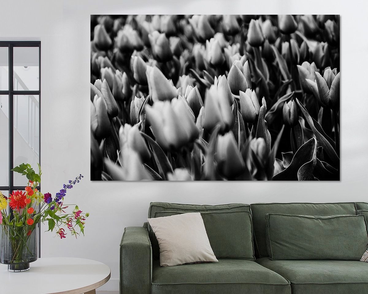 Raumvorschau
