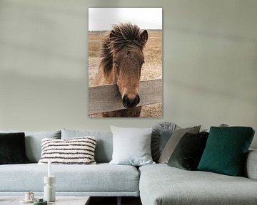 Portrait d'un cheval brun sur Henrike Schenk