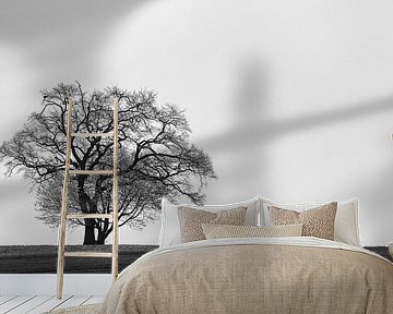 Big and small, tree in silhouette by Denis Feiner