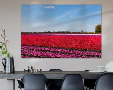 Tulpenveld in bloei van Percy's fotografie