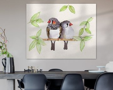 Sweet couple of zebra finches by Bianca Wisseloo