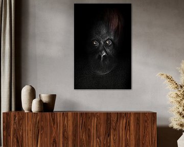 Het vlakke gezicht van een orang-oetan met heldere oranje ogen, vol gezicht vanuit de duisternis, ee van Michael Semenov