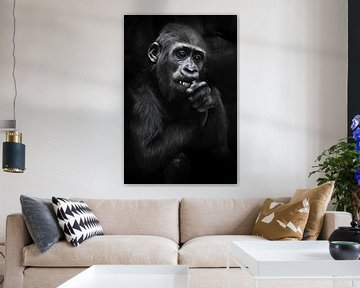 Cute Baby Gorilla nagt etwas mit weißen Zähnen hält in seinen Händen, dunklen Hintergrund, ausdrucks von Michael Semenov