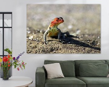 Lizard by Antwan Janssen