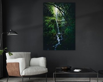 großer Wasserfall im Dschungel von Madeira von jonathan Le Blanc