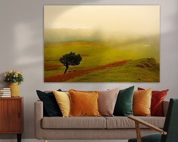 Landschaft mit Baum auf Madeira von jonathan Le Blanc