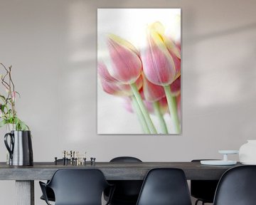 Tulpenpracht von Sonja Onstenk