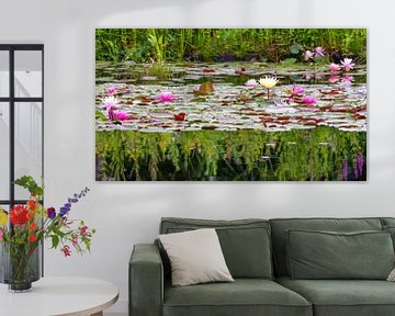 Colourful water lilies by Paula van den Akker