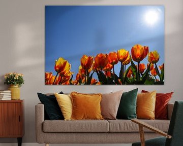 Orange tulips from a low perspective. by Bert de Boer