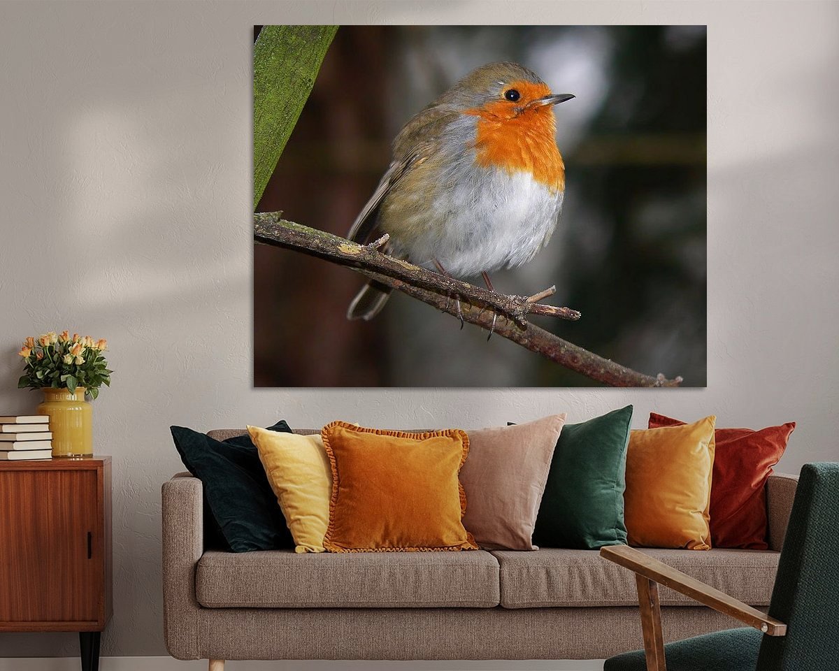 Raumvorschau