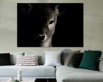 portrait photo deer by Blanchette van Hooren