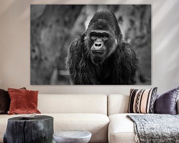 Gorilla portret met wazige achtergrond zwart &amp; wit van Mohamed Abdelrazek