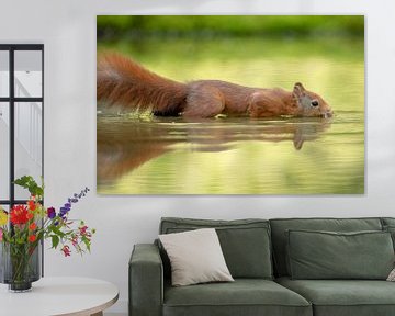 Squirrel in the water by Tanja van Beuningen