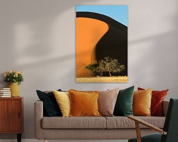 Dune 45 by Antwan Janssen