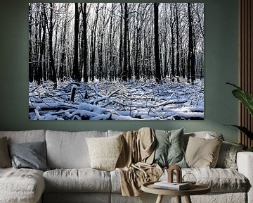 Winter in het bos van Antwan Janssen