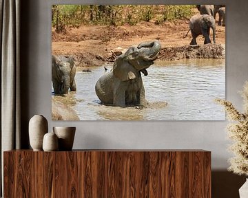Afrikaanse olifant in een modderpoel van Jolene van den Berg