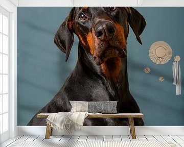 Dog Portrait by Petri Vermunt