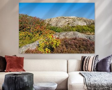 Felsen auf den Wetterinseln vor der Stadt Fjällbacka in Schweden von Rico Ködder