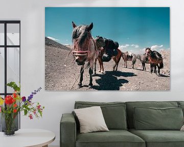 Resting horses in the mountains by Mickéle Godderis