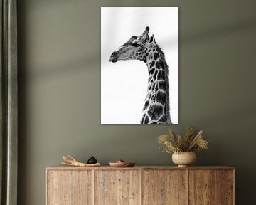 Giraffe in profile by Samantha Levolger