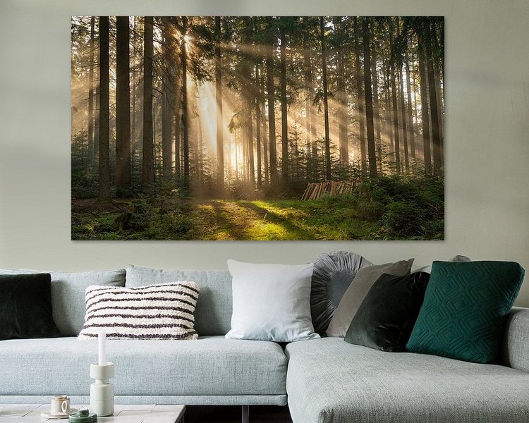 Voorbeeld van het werk in een kamer
