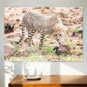 Ces regards dans tes yeux...