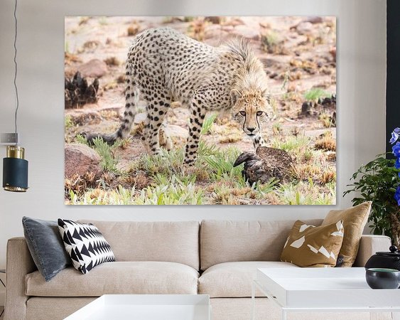 Aperçu de la chambre