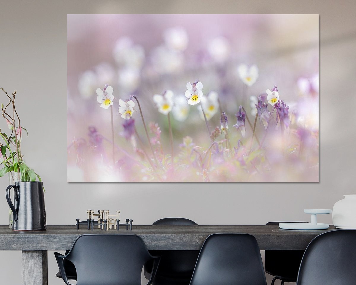 Raumvorschau