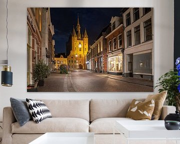 Zwolle Sassenpoort van Fotografie Thilou van Aken